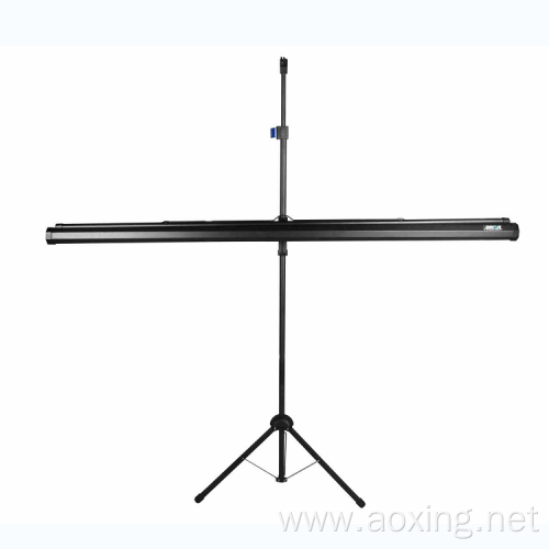 Portable Fast Fold Standard Tripod budget Screen